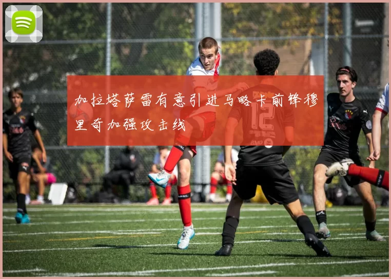 加拉塔萨雷有意引进马略卡前锋穆里奇加强攻击线